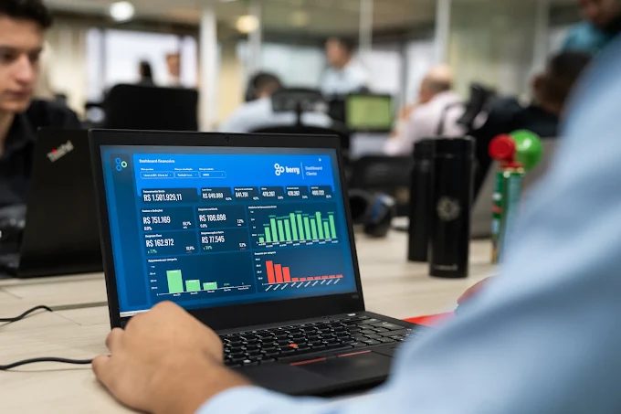 Dashboard financeiro Berry
